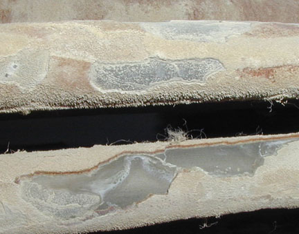 Motsbuild.jpg (44683 bytes)